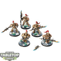 Adeptus Custodes - 5 Custodian Guard - bemalt