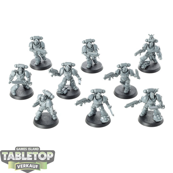 Space Wolves - 10 Grey Hunters - unbemalt