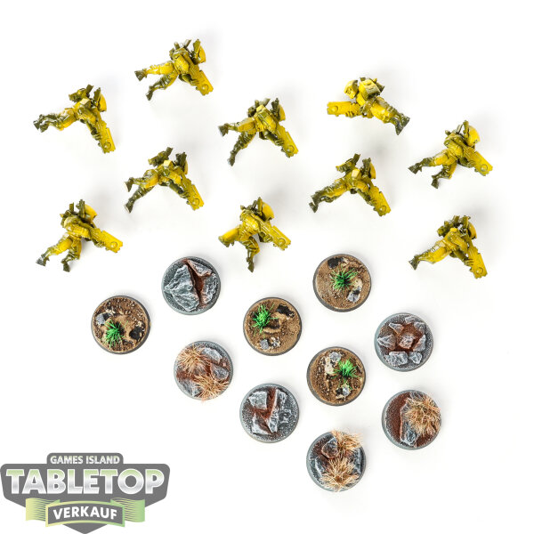 Tau Empire - 10x Fire Warriors Strike Team - teilweise bemalt