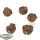 Bases - 5x Temple Bases, Round 25mm - teilweise bemalt