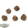 Bases - 5x Temple Bases, Round 25mm - teilweise bemalt