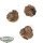 Bases - 3x Temple Bases, Round 25mm - teilweise bemalt