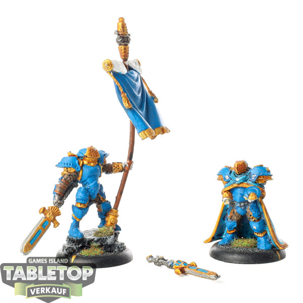 Cygnar - Stormblade Infantry Officer & Standard - teilweise bemalt