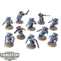 Space Marines - 10x Assault Intercessor - bemalt