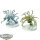 Slaves to Darkness - 2 Chaos Spawn - teilweise bemalt
