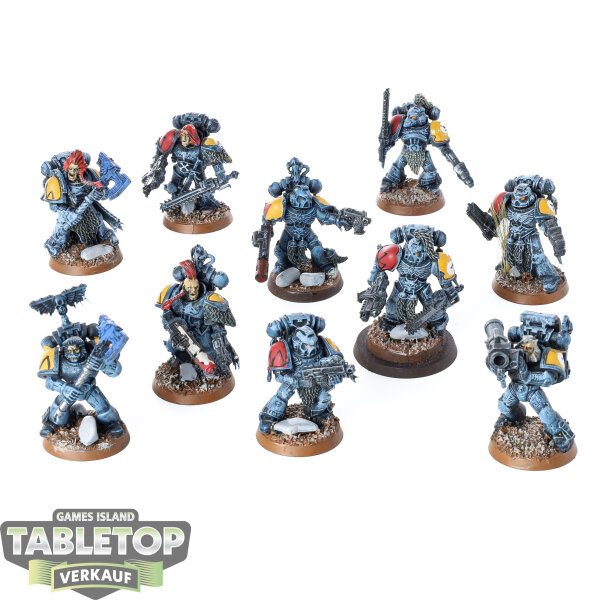 Space Wolves - 10x Grey Hunters - teilweise bemalt