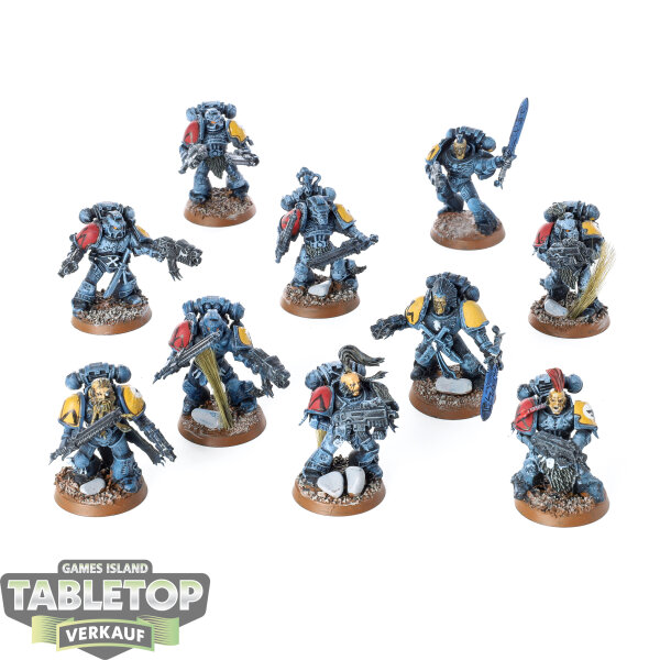 Space Wolves - 10x Grey Hunters - teilweise bemalt