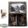 Freies Volk - 2x War Mammoths - bemalt