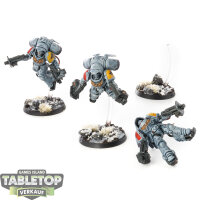 Space Wolves - 3x Inceptor Squad - bemalt