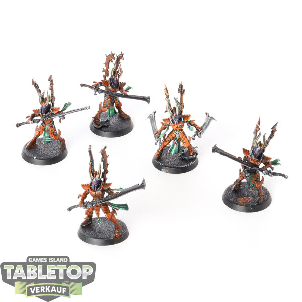 Drukhari - 5x Incubi - bemalt