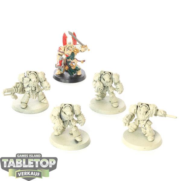 Dark Angels - 5x Deathwing Terminators - teilweise bemalt