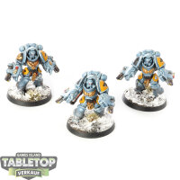 Space Wolves - 3x Aggressor Squad - bemalt