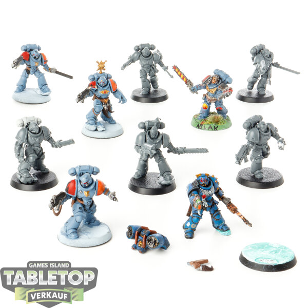 Space Marines - 10x Assault Intercessor Squad - teilweise bemalt