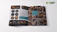 GamersGrass - Chaos Wasteland Basing Box