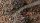 GamersGrass - Chaos Wasteland Basing Box
