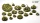 GamersGrass - Jungle Floor Basing Box