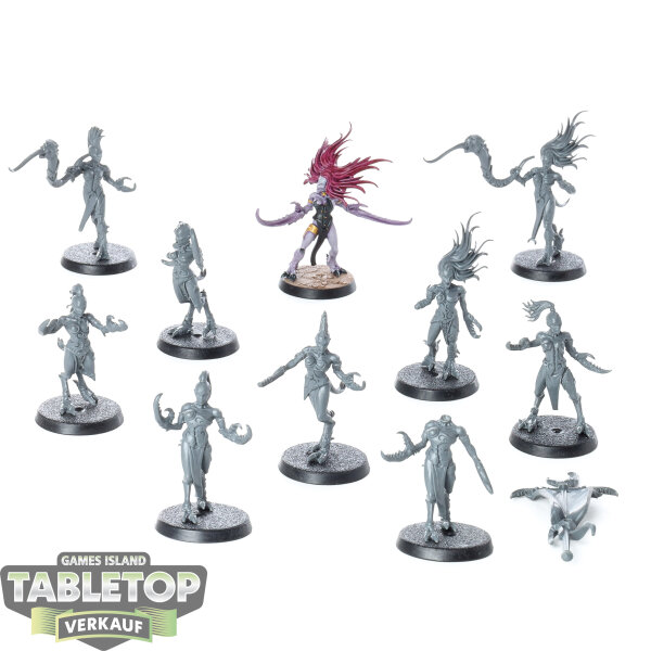Chaos Daemons - 10x Daemonettes of Slaanesh - teilweise bemalt