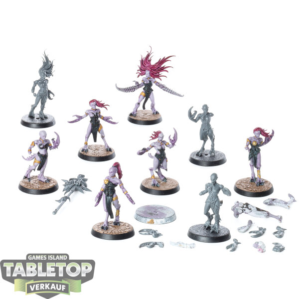 Chaos Daemons - 10x Daemonettes of Slaanesh - teilweise bemalt