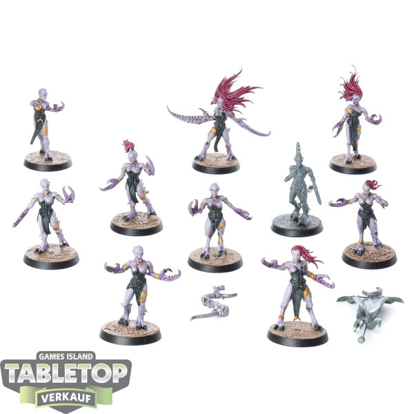 Chaos Daemons - 10x Daemonettes of Slaanesh - teilweise bemalt