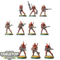 Aeldari - 10x Guardian Defenders klassisch - bemalt