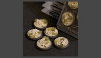 GamersGrass - Arid Steppe Bases - RoundLip 40mm (x5)