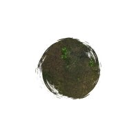 Playmats.eu - Swamp Two-sided rubber Play Mat - 72x36 inches