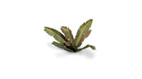 GamersGrass - Laser Plants - Banana Tree