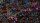 GamersGrass - Laser Plants - Alien Rosette