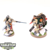 Space Marines - 2 Charaktermodelle - gut bemalt