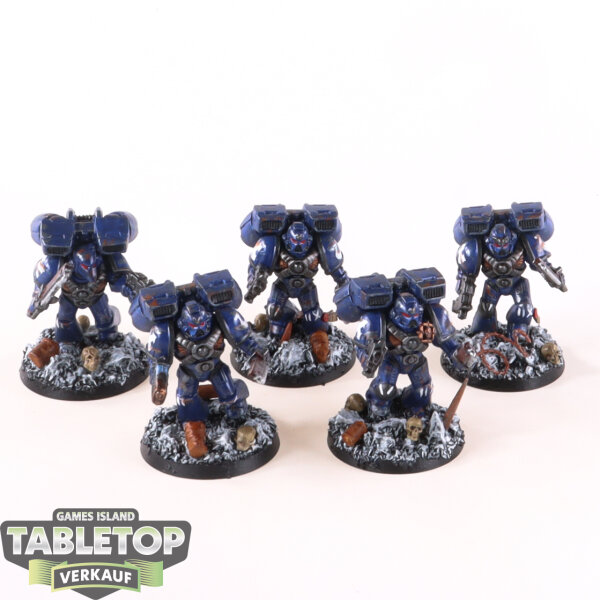 Ultramarines - 5x Assault Squad - gut bemalt