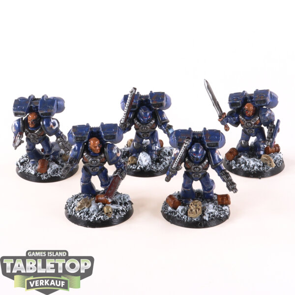 Ultramarines - 5x Assault Squad - gut bemalt