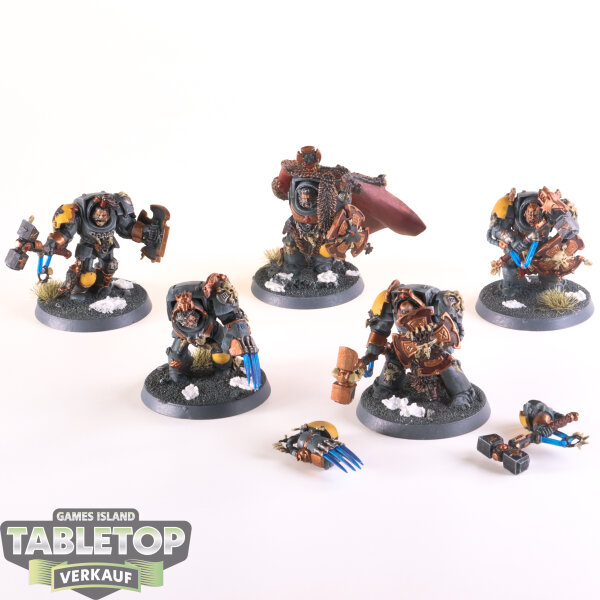 Space Wolves - 5 Wolf Guard Terminators - gut bemalt