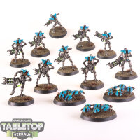 Necrons - 10 Necron Warriors & 3 Scarab Swarms - gut bemalt