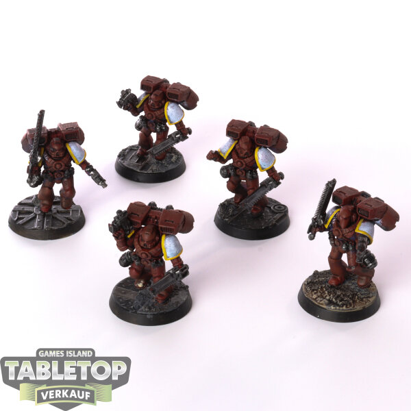 Space Marines - 5 x Assault Squad klassisch - bemalt