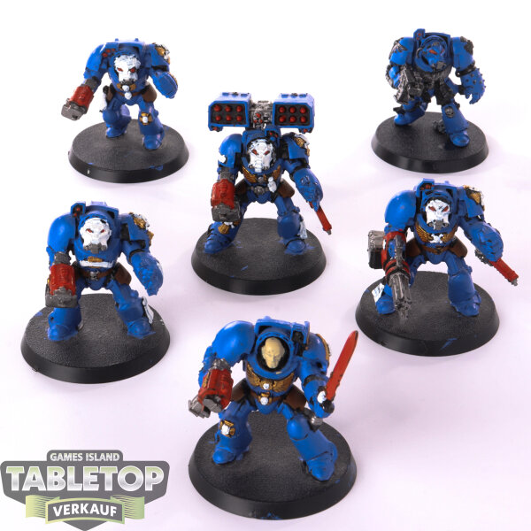 Space Marines - 6 Terminators  - bemalt