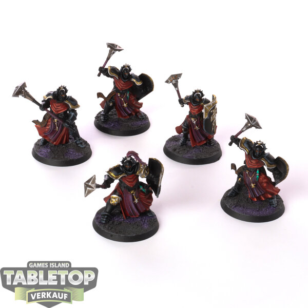 Stormcast Eternals - 5 Sequitors - bemalt