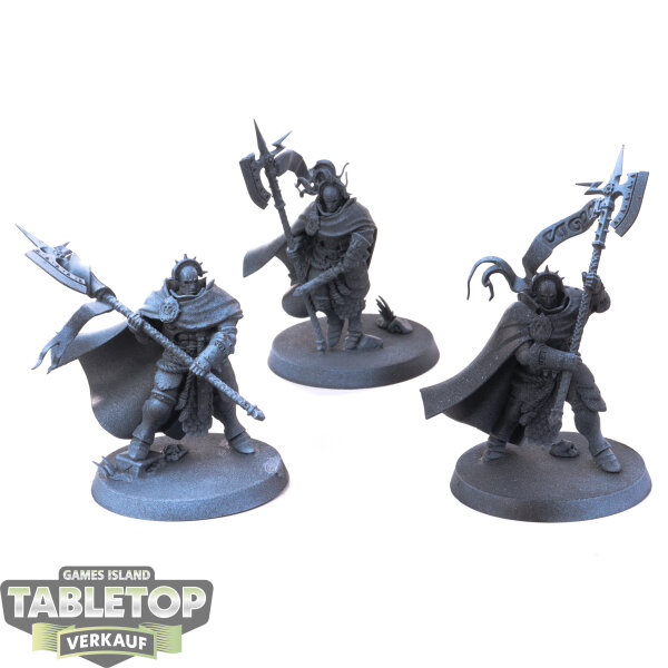 Stormcast Eternals - 3 x Praetors - grundiert