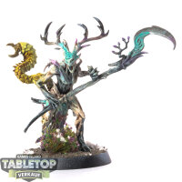 Sylvaneth - Branchwych - bemalt