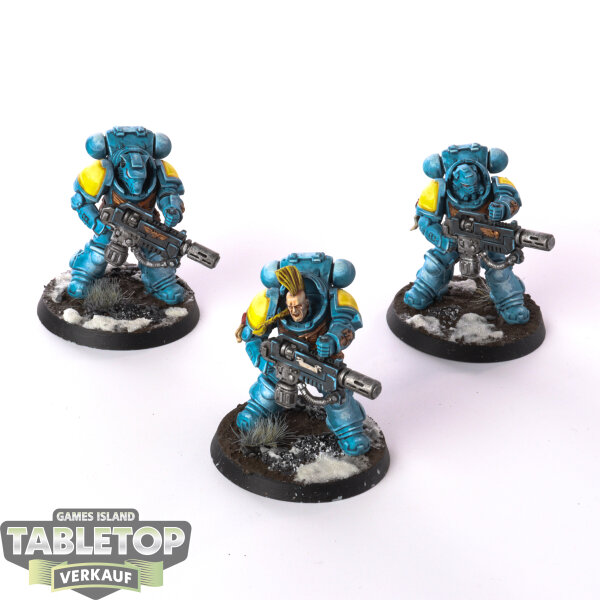 Space Wolves - 3 x Primaris Eradicators - gut bemalt