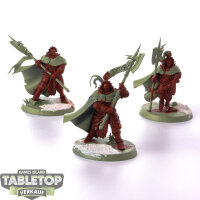 Stormcast Eternals - 3 Praetors - teilweise bemalt