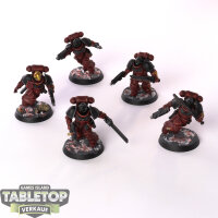 Space Marines - 5 x Assault Intercessors - gut bemalt