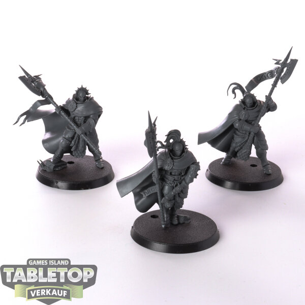 Stormcast Eternals - 3 Praetors - unbemalt