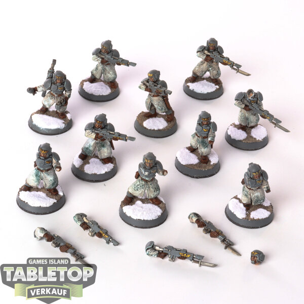 Astra Militarum - 10 Cadian Winter Troops - gut bemalt