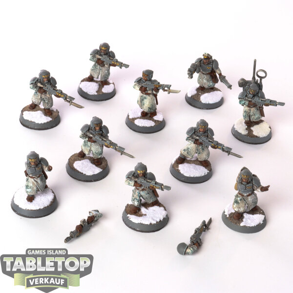 Astra Militarum - 10 Cadian Winter Troops - gut bemalt