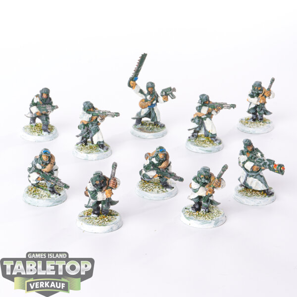 Astra Militarum - 10 x Valhallan Ice Warriors klassisch - bemalt