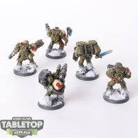 Space Marines - 5 x Diverse Modelle  - gut bemalt