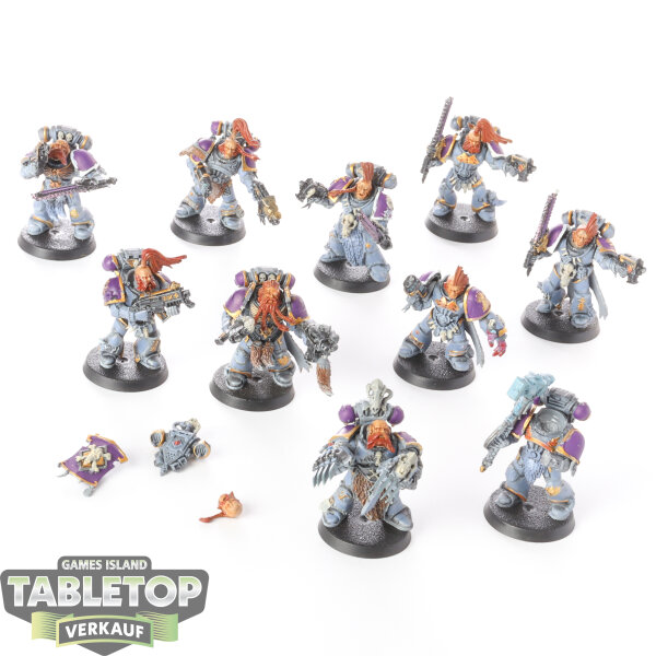 Space Wolves - 10 Grey Hunters - bemalt