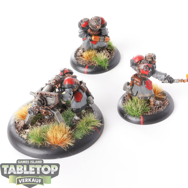 Warmachine - Winter Guard Field Gun Crew - bemalt