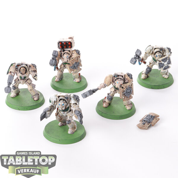 Dark Angels - 5 x Terminator Assault Squad - teilweise bemalt