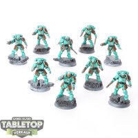 Space Marines - 9 Primaris Reivers - bemalt